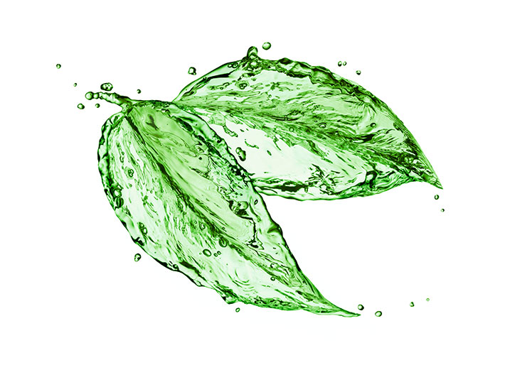 foglie verdi ricreate con gocce d'acqua
